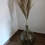 Les Roses D'olga Aubechies