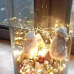 Hébergement de vacances Les Roses D'olga