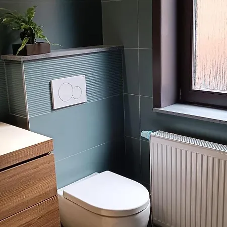 Les Roses D'olga Ferienhaus Aubechies