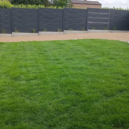 Les Roses D'olga Aubechies