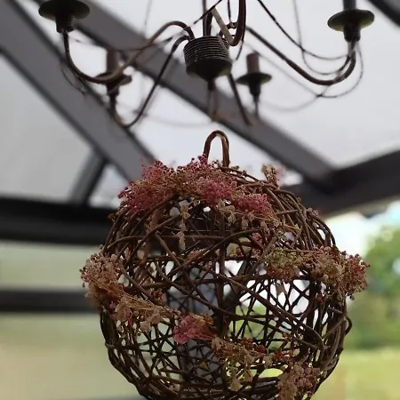 Les Roses D'olga * Aubechies