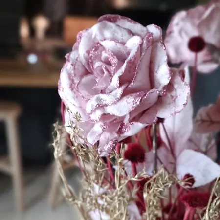 Les Roses D'olga Ferienhaus Aubechies