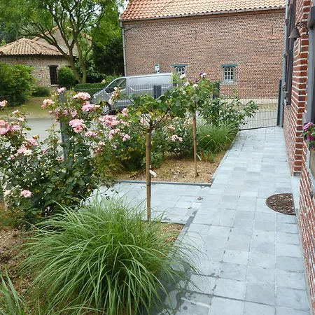 Les Roses D'olga Hébergement de vacances Aubechies