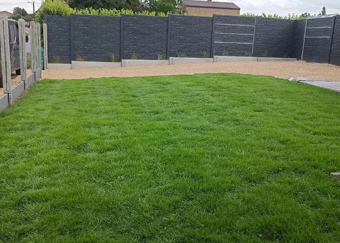 Les Roses D'olga Aubechies