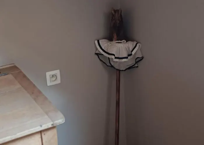 Les Roses D'olga Holiday home *