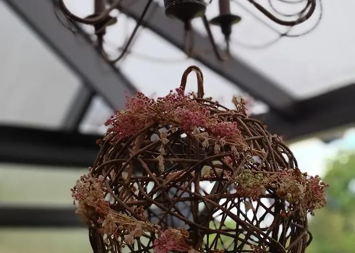 Les Roses D'olga * Aubechies