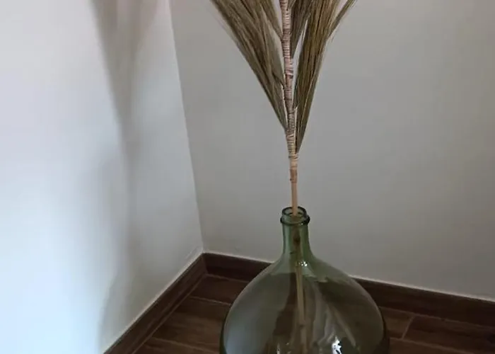 Les Roses D'olga Aubechies