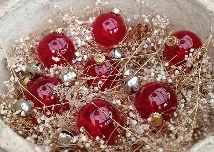 Les Roses D'olga Holiday home